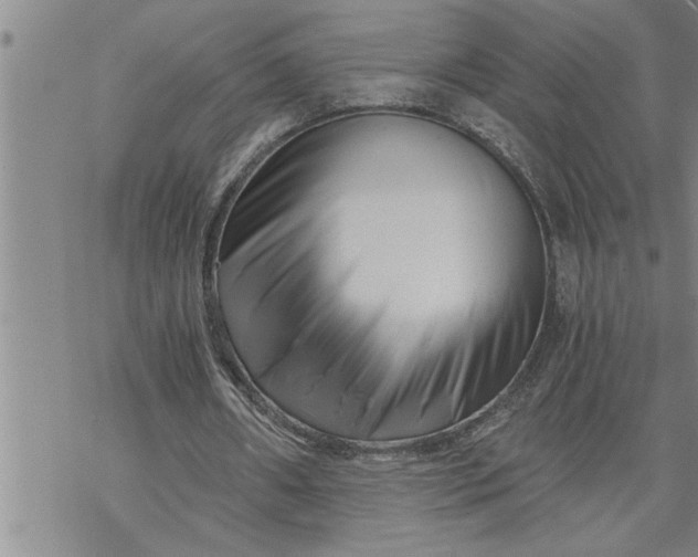 X0000069830482200606021340