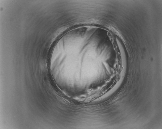 X0000069830483200606021340