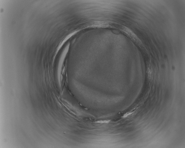 X0000069830484200606021340