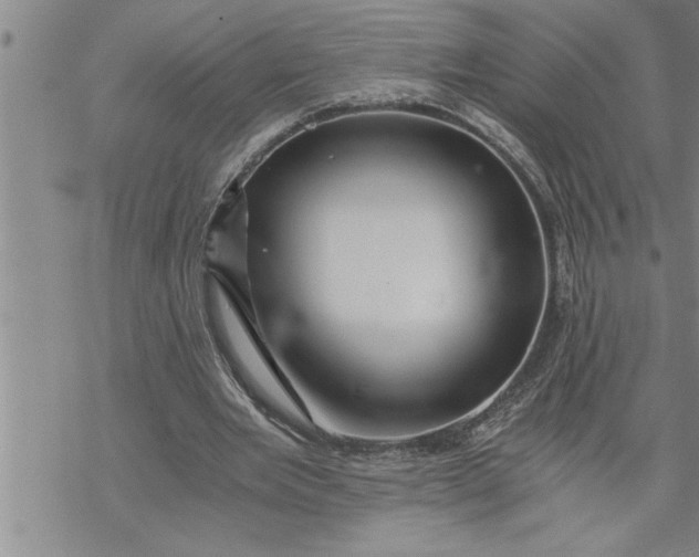 X0000069830485200606021340