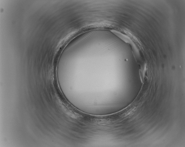 X0000069830486200606021340