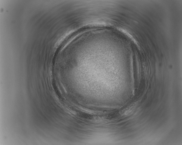 X0000069830487200606021340