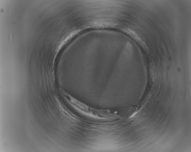 X0000069830488200606021340