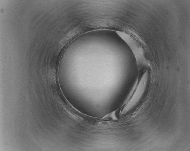 X0000069830489200606021340