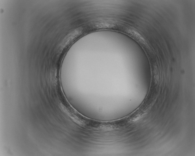 X0000069830490200606021340