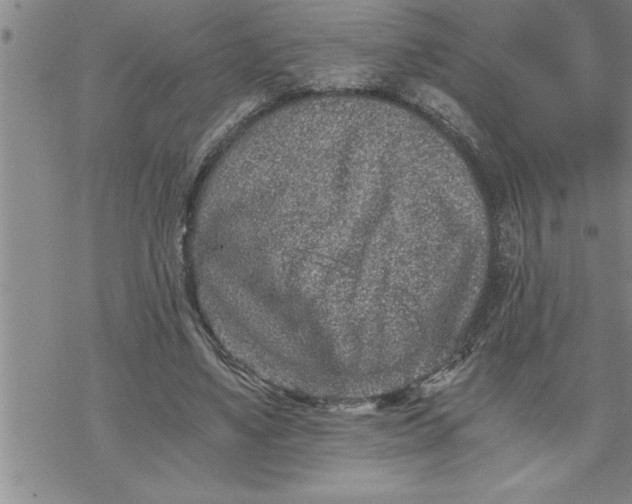 X0000069830491200606021340