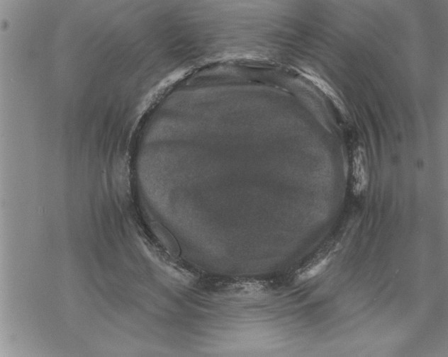 X0000069830492200606021340