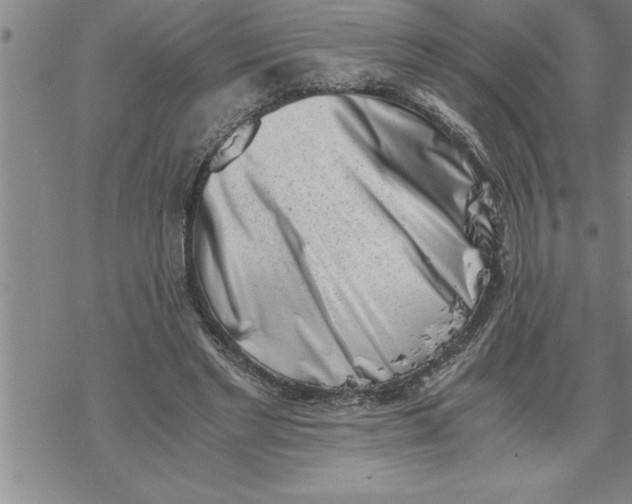 X0000069830493200606021340