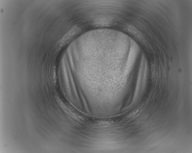 X0000069830494200606021340