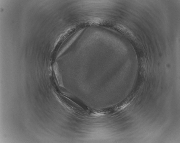 X0000069830496200606021340