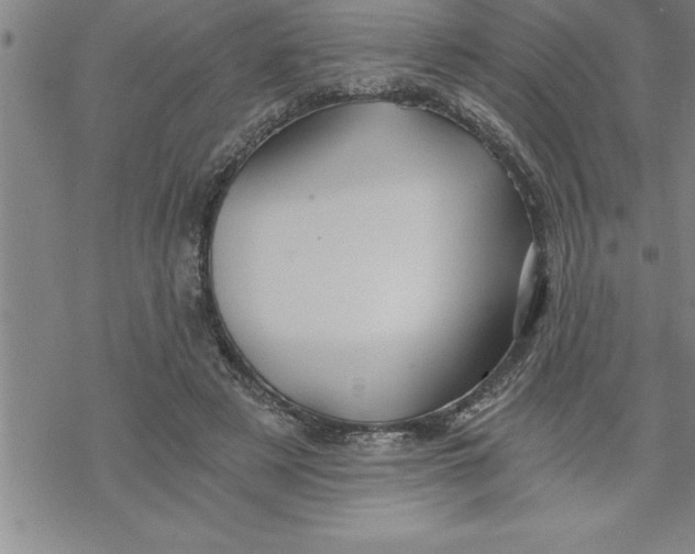 X0000069830497200606021340