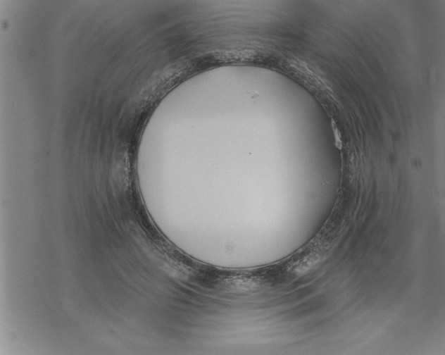 X0000069830498200606021340