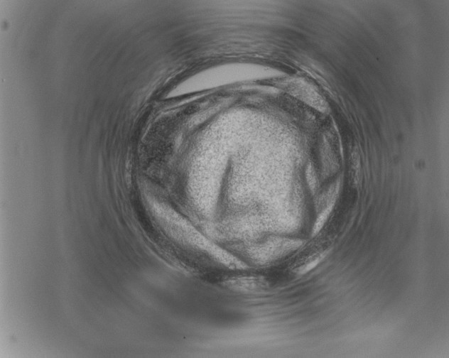 X0000069830499200606021340