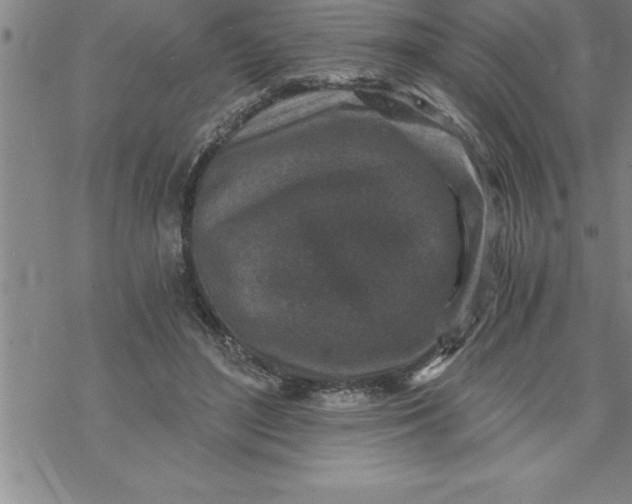 X0000069830500200606021340