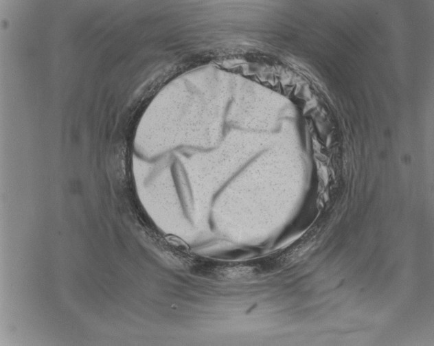 X0000069830501200606021340