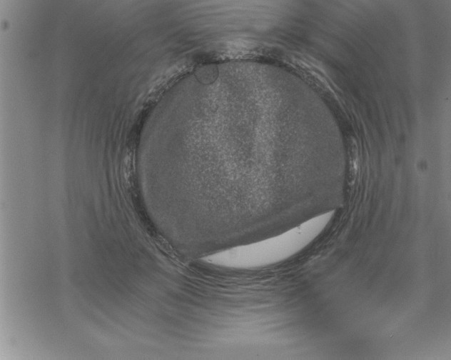 X0000069830503200606021340