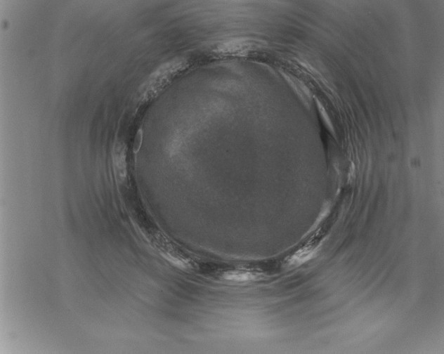 X0000069830504200606021340