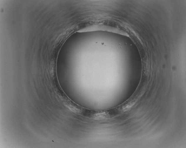 X0000069830505200606021340