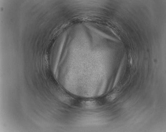 X0000069830506200606021340