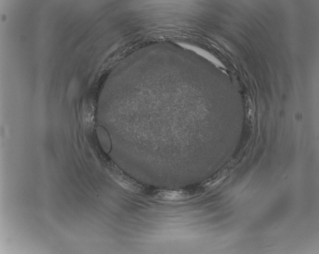 X0000069830507200606021340