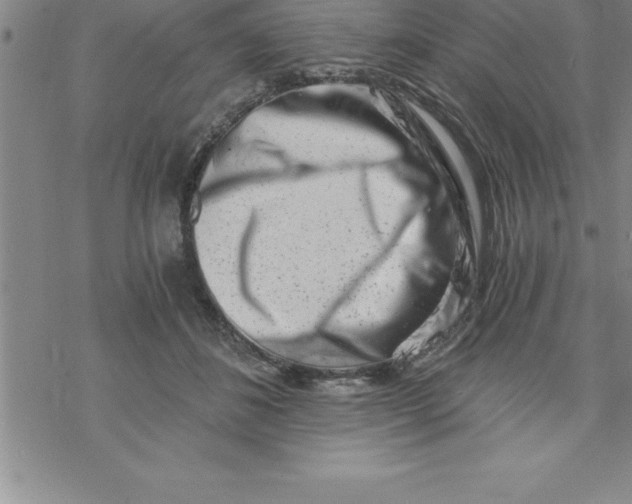 X0000069830508200606021340