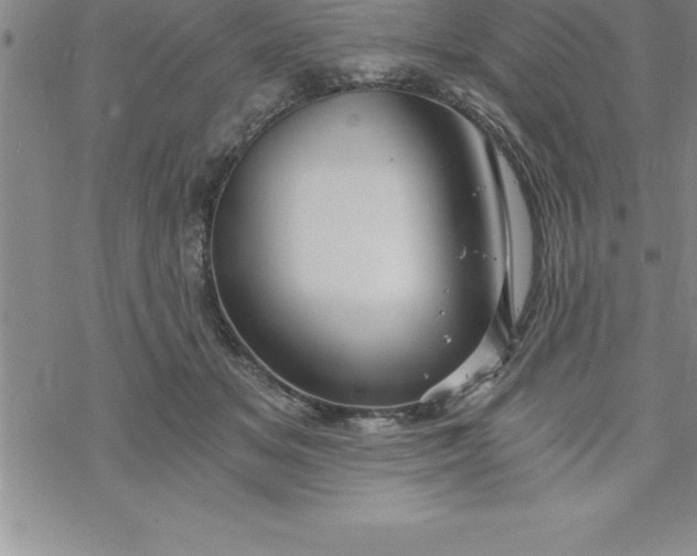 X0000069830509200606021340