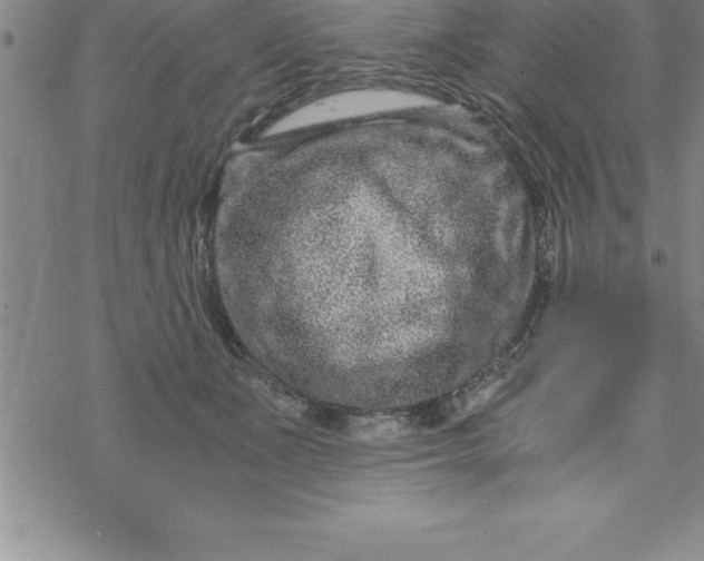 X0000069830511200606021340