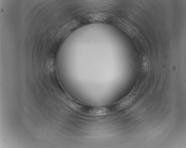 X0000069830514200606021340