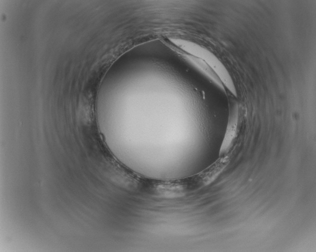 X0000069830515200606021340