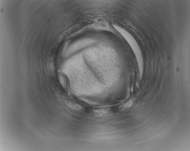 X0000069830516200606021340