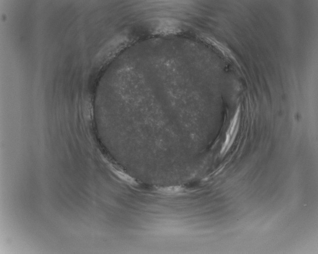 X0000069830517200606021340