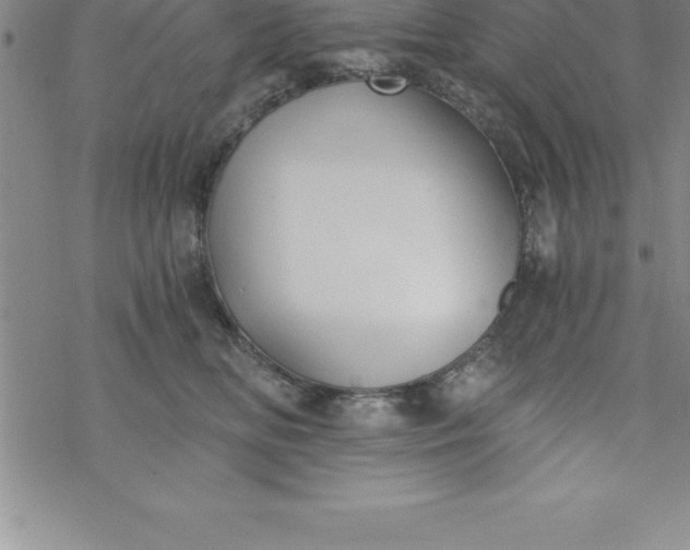 X0000069830518200606021340