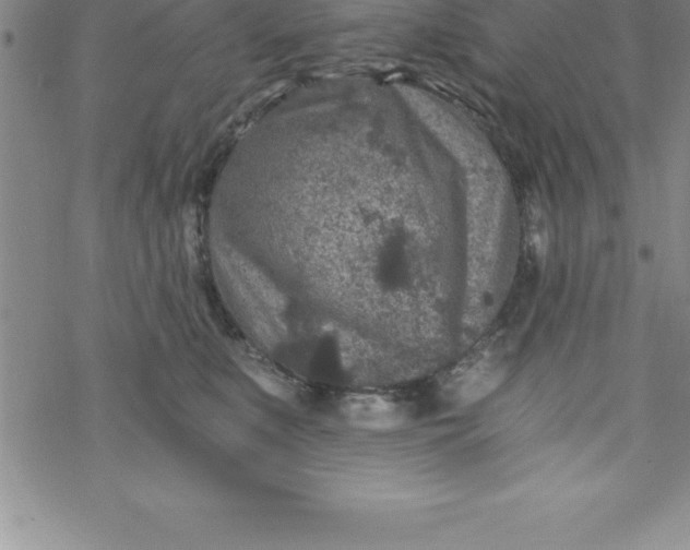 X0000069830519200606021340