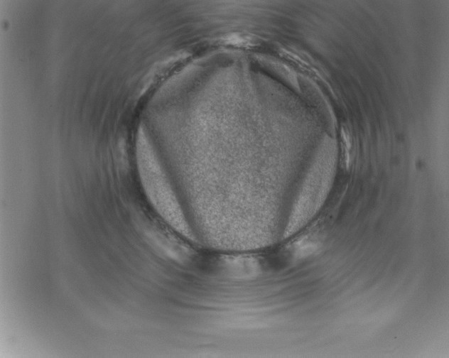 X0000069830520200606021339