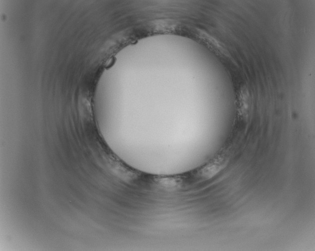 X0000069830522200606021339