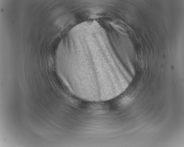 X0000069830523200606021339