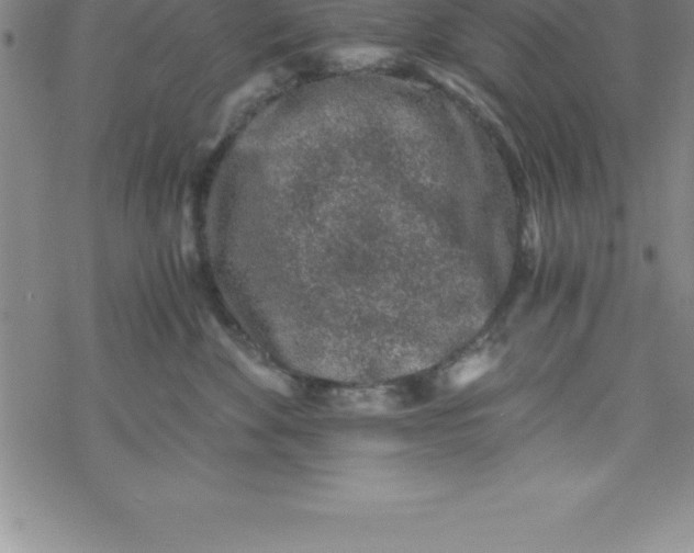 X0000069830524200606021339