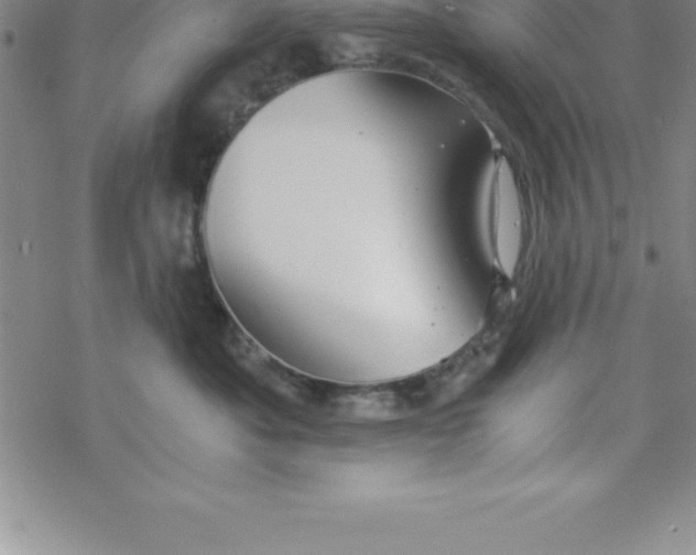 X0000069830525200606021339