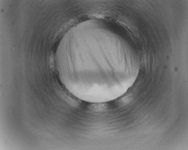 X0000069830526200606021339