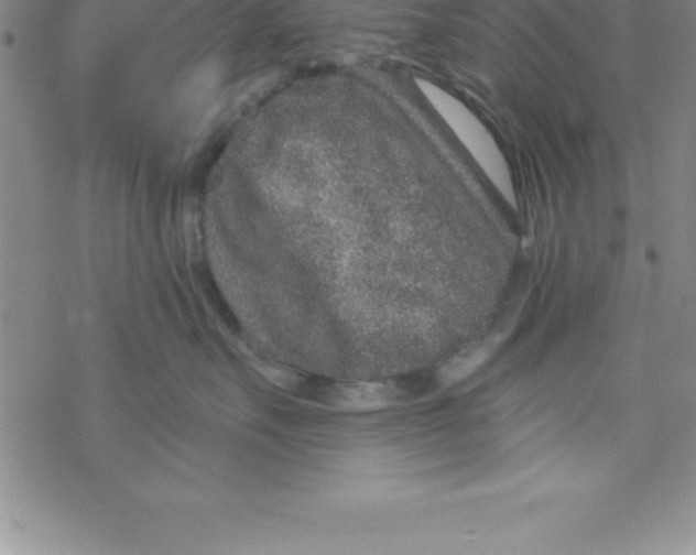 X0000069830527200606021339