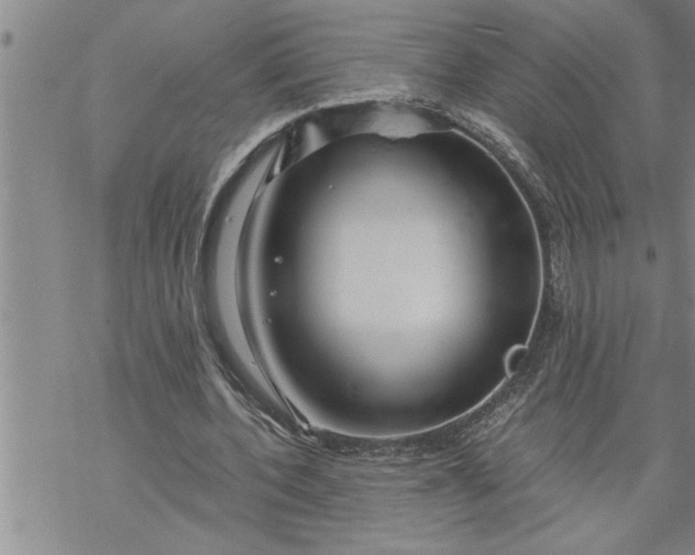 X0000069830532200606021339