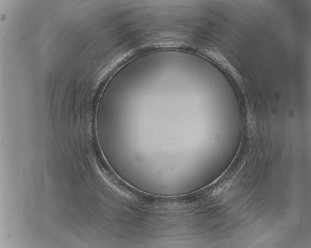 X0000069830533200606021339