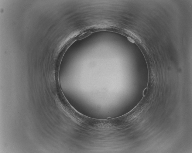 X0000069830535200606021339