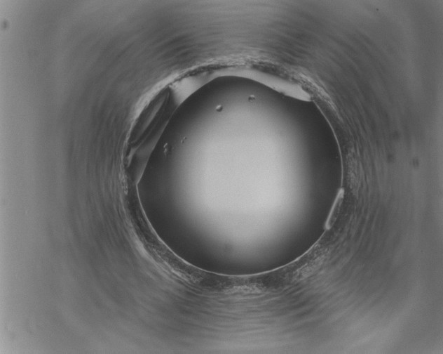 X0000069830536200606021339