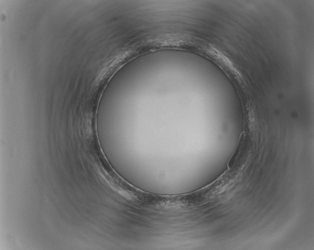 X0000069830537200606021339