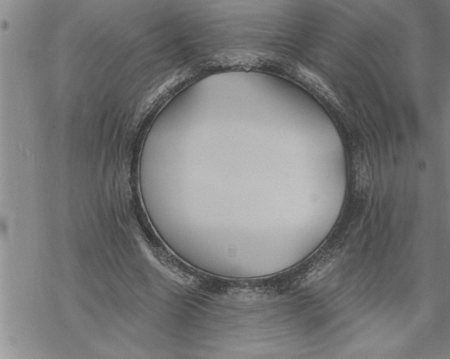 X0000069830538200606021339