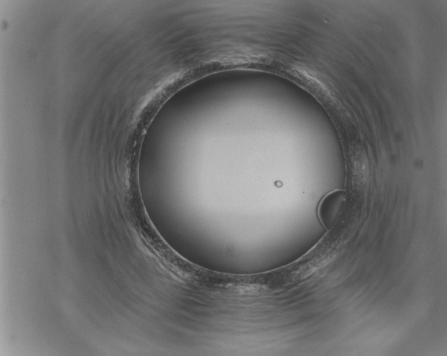 X0000069830539200606021339