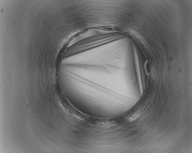 X0000069830540200606021339