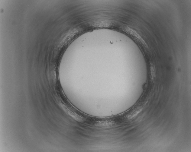 X0000069830541200606021339