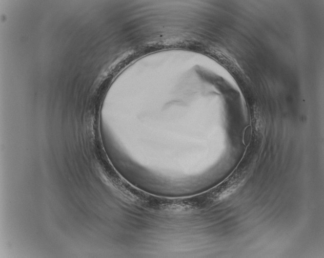 X0000069830542200606021339